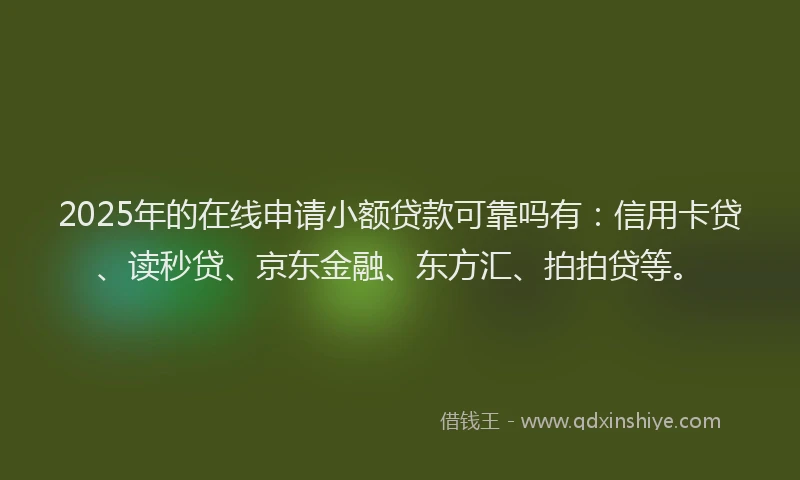 2025年的在线申请小额贷款可靠吗有：信用卡贷、读秒贷、京东金融、东方汇、拍拍贷等。
