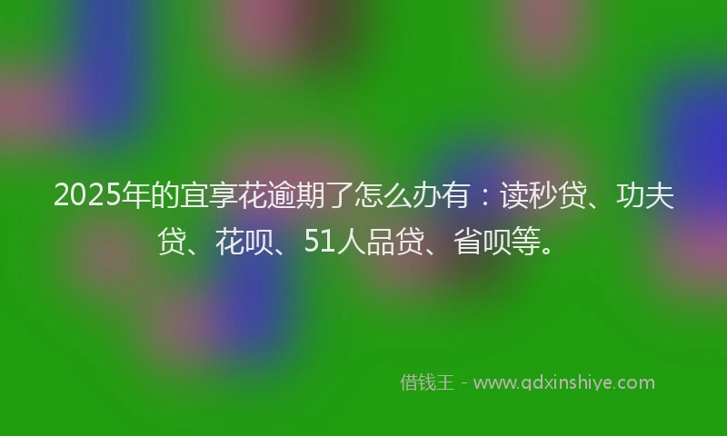 2025年的宜享花逾期了怎么办有：读秒贷、功夫贷、花呗、51人品贷、省呗等。