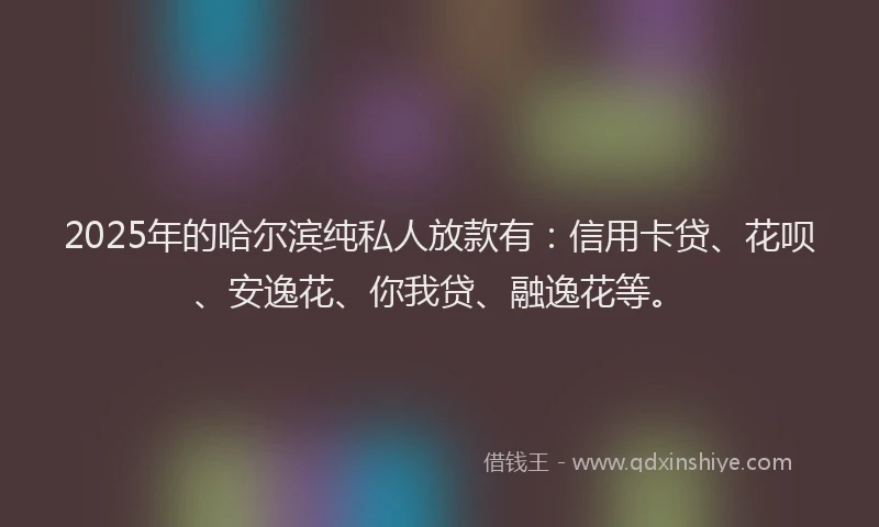2025年的哈尔滨纯私人放款有：信用卡贷、花呗、安逸花、你我贷、融逸花等。
