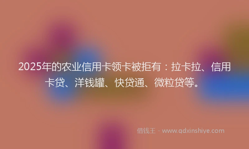 2025年的农业信用卡领卡被拒有：拉卡拉、信用卡贷、洋钱罐、快贷通、微粒贷等。