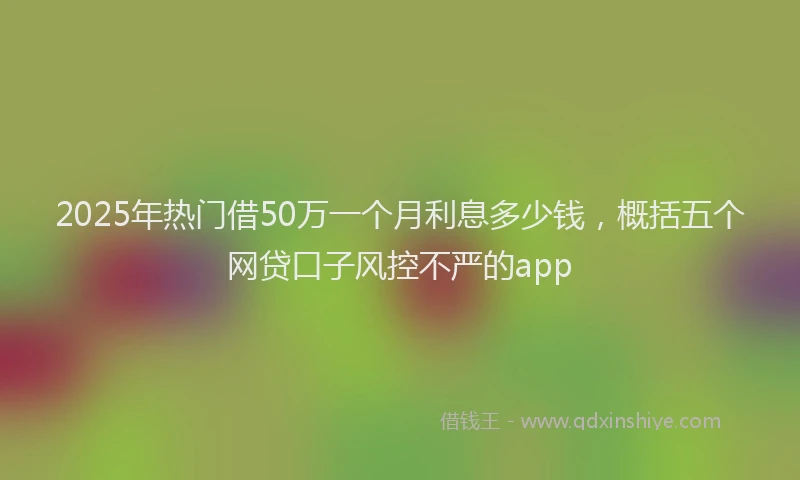 2025年热门借50万一个月利息多少钱，概括五个网贷口子风控不严的app
