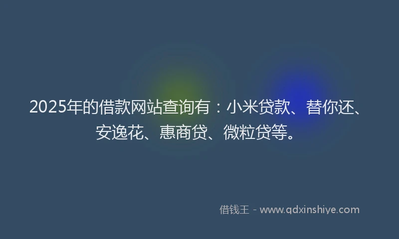 2025年的借款网站查询有：小米贷款、替你还、安逸花、惠商贷、微粒贷等。