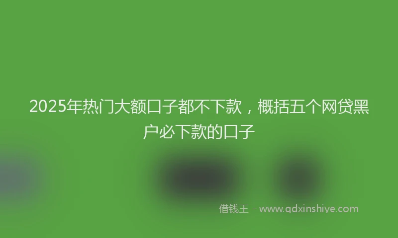 2025年热门大额口子都不下款，概括五个网贷黑户必下款的口子