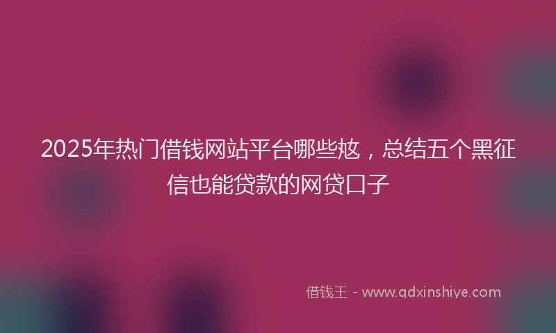 2025年热门借钱网站平台哪些奿，总结五个黑征信也能贷款的网贷口子