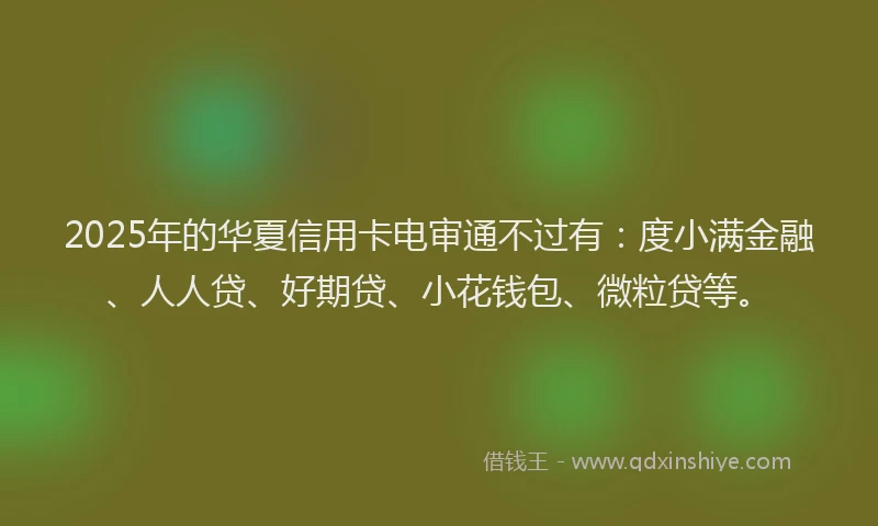 2025年的华夏信用卡电审通不过有：度小满金融、人人贷、好期贷、小花钱包、微粒贷等。