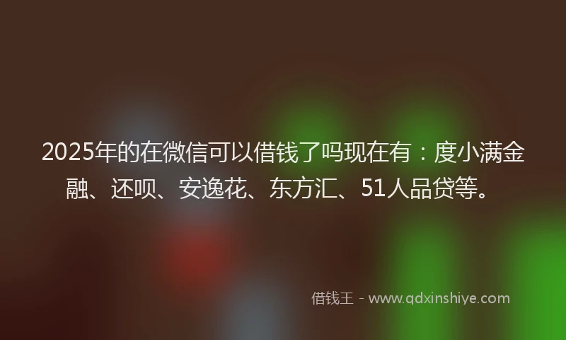 2025年的在微信可以借钱了吗现在有：度小满金融、还呗、安逸花、东方汇、51人品贷等。