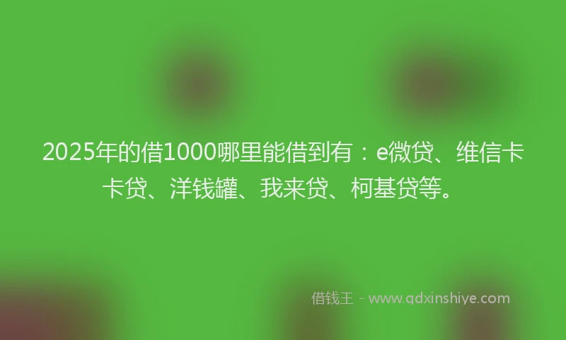 2025年的借1000哪里能借到有：e微贷、维信卡卡贷、洋钱罐、我来贷、柯基贷等。