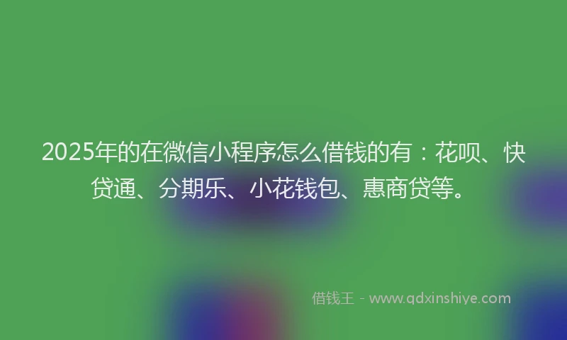2025年的在微信小程序怎么借钱的有：花呗、快贷通、分期乐、小花钱包、惠商贷等。