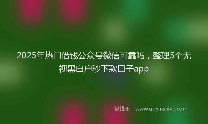 2025年热门借钱公众号微信可靠吗，整理5个无视黑白户秒下款口子app