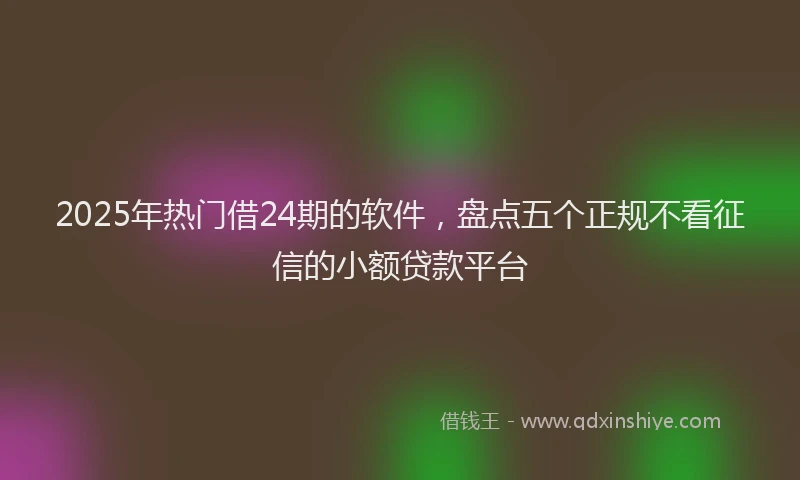 2025年热门借24期的软件，盘点五个正规不看征信的小额贷款平台