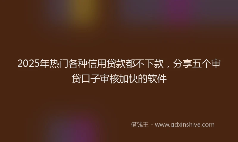 2025年热门各种信用贷款都不下款，分享五个审贷口子审核加快的软件