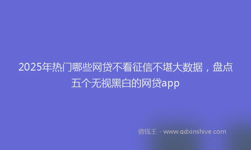 2025年热门哪些网贷不看征信不堪大数据，盘点五个无视黑白的网贷app