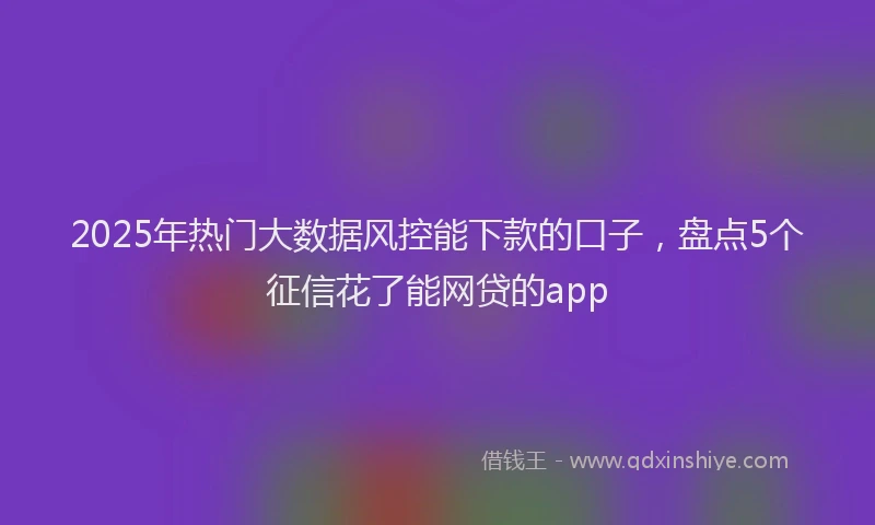 2025年热门大数据风控能下款的口子，盘点5个征信花了能网贷的app