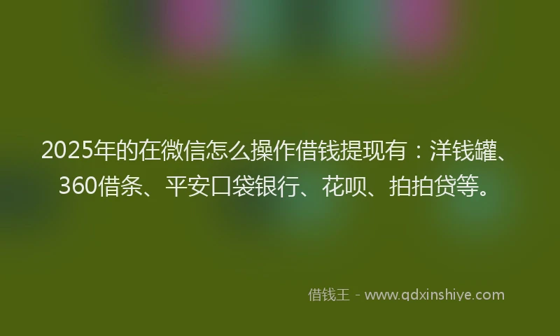 2025年的在微信怎么操作借钱提现有：洋钱罐、360借条、平安口袋银行、花呗、拍拍贷等。