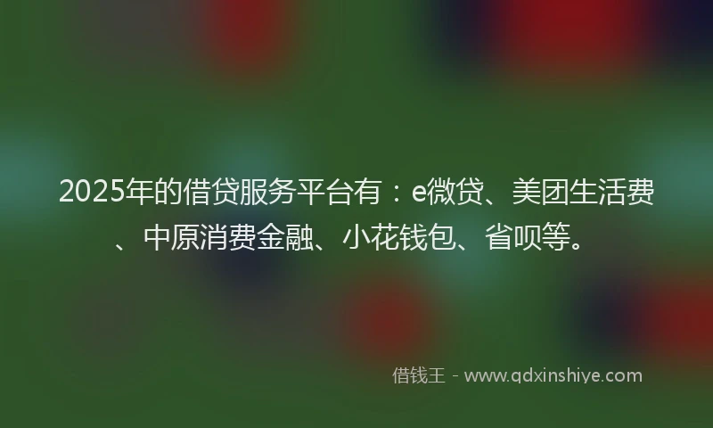 2025年的借贷服务平台有：e微贷、美团生活费、中原消费金融、小花钱包、省呗等。