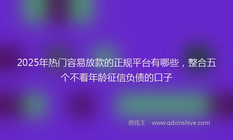 2025年热门容易放款的正规平台有哪些，整合五个不看年龄征信负债的口子