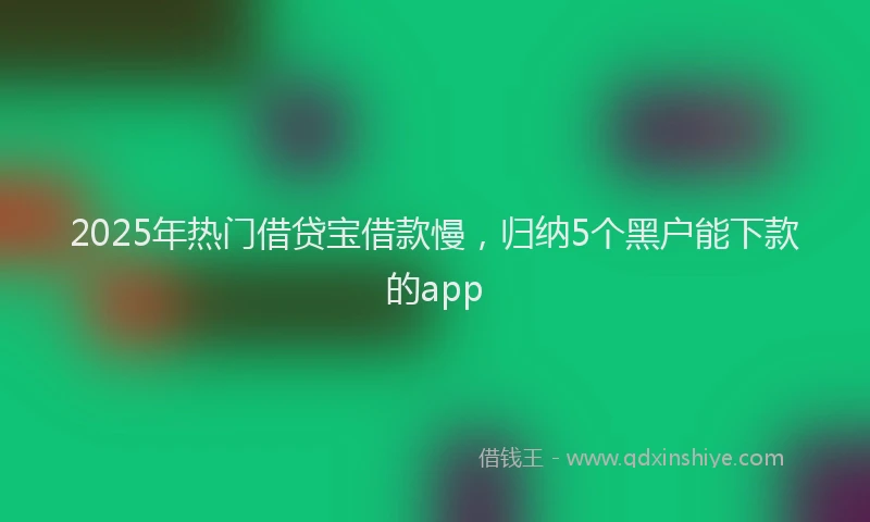 2025年热门借贷宝借款慢,归纳5个黑户能下款的app