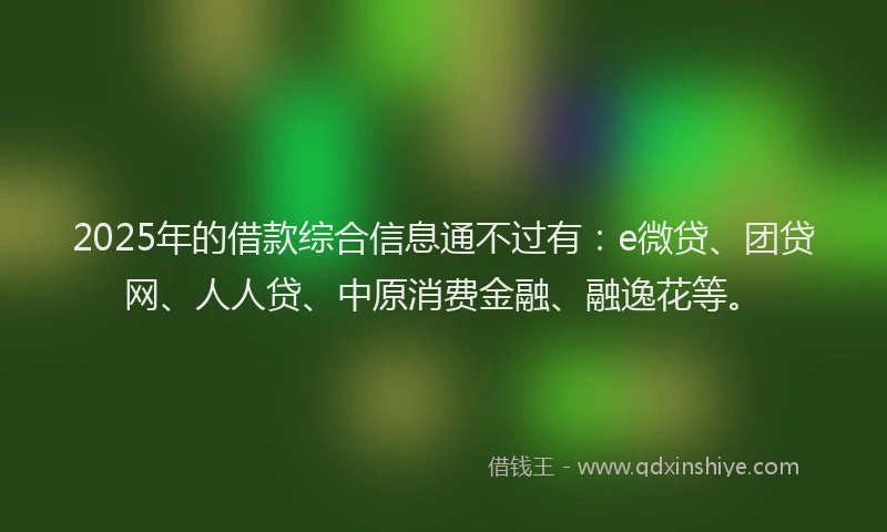 2025年的借款综合信息通不过有：e微贷、团贷网、人人贷、中原消费金融、融逸花等。
