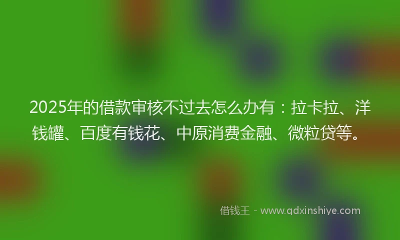 2025年的借款审核不过去怎么办有：拉卡拉、洋钱罐、百度有钱花、中原消费金融、微粒贷等。
