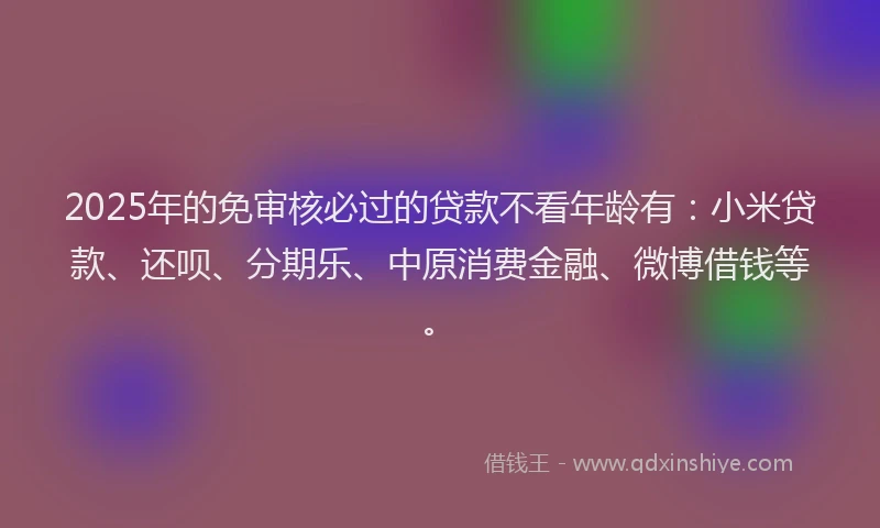 2025年的免审核必过的贷款不看年龄有：小米贷款、还呗、分期乐、中原消费金融、微博借钱等。