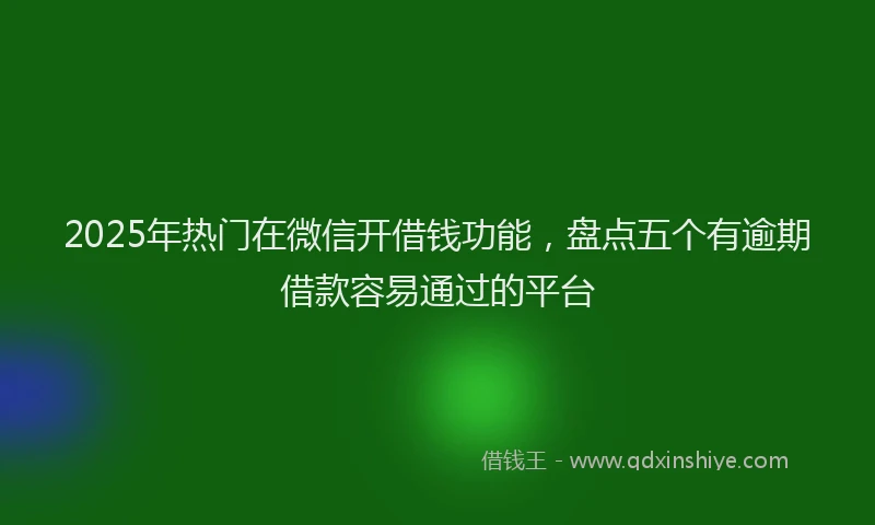 2025年热门在微信开借钱功能，盘点五个有逾期借款容易通过的平台
