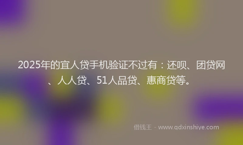 2025年的宜人贷手机验证不过有：还呗、团贷网、人人贷、51人品贷、惠商贷等。