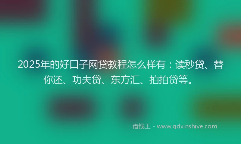 2025年的好口子网贷教程怎么样有：读秒贷、替你还、功夫贷、东方汇、拍拍贷等。