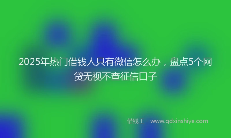 2025年热门借钱人只有微信怎么办，盘点5个网贷无视不查征信口子