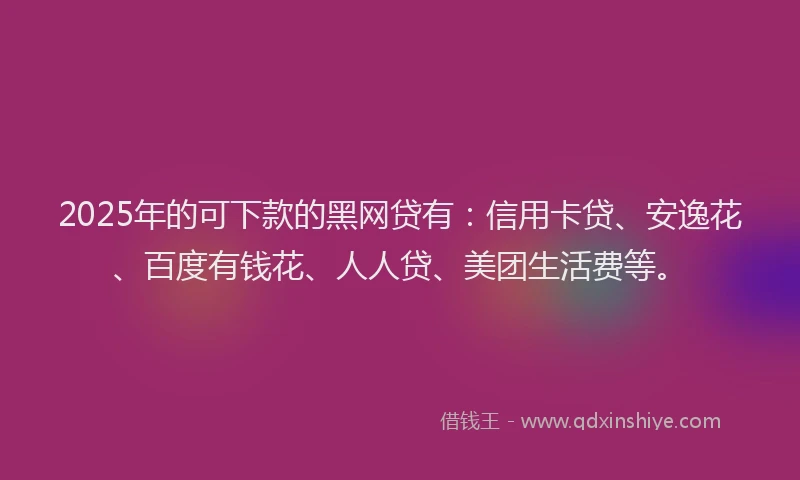 2025年的可下款的黑网贷有：信用卡贷、安逸花、百度有钱花、人人贷、美团生活费等。