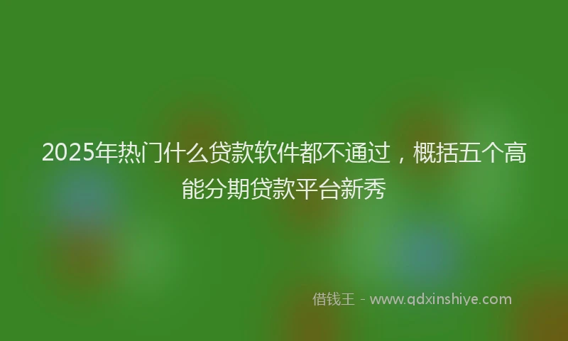2025年热门什么贷款软件都不通过，概括五个高能分期贷款平台新秀