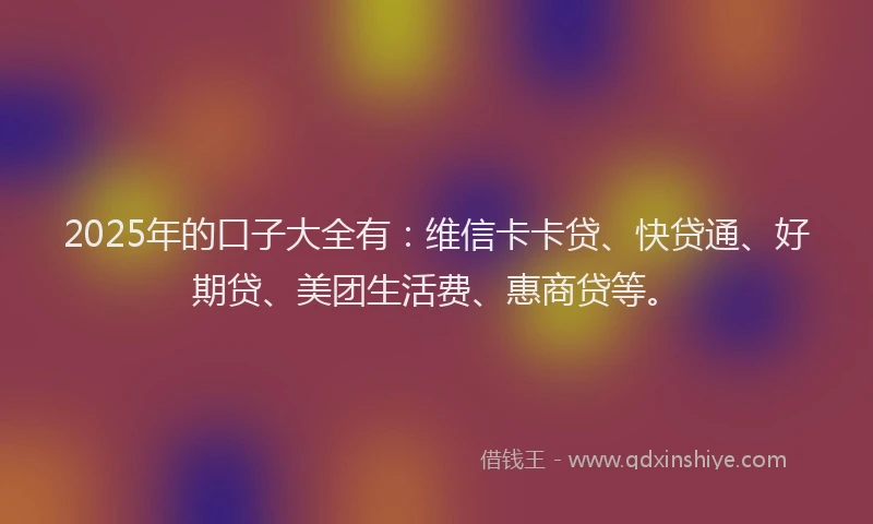 2025年的口子大全有：维信卡卡贷、快贷通、好期贷、美团生活费、惠商贷等。