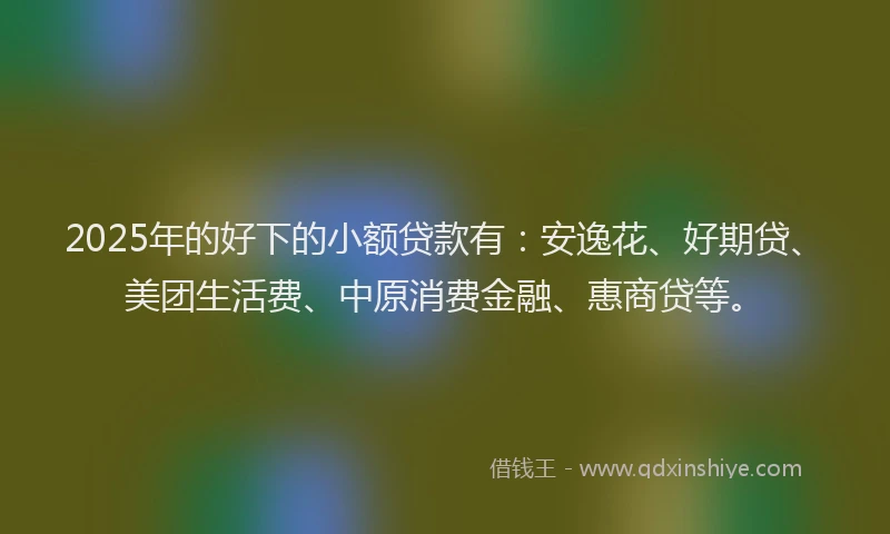 2025年的好下的小额贷款有：安逸花、好期贷、美团生活费、中原消费金融、惠商贷等。
