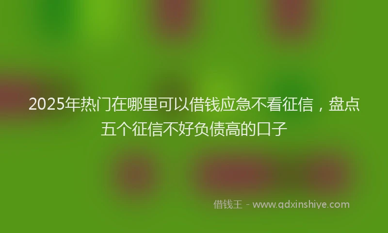 2025年热门在哪里可以借钱应急不看征信，盘点五个征信不好负债高的口子