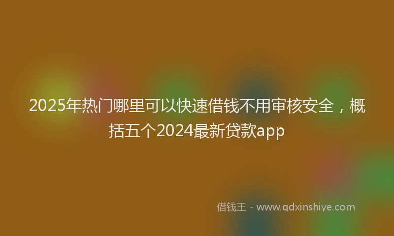 2025年热门哪里可以快速借钱不用审核安全，概括五个2024最新贷款app