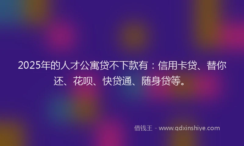2025年的人才公寓贷不下款有：信用卡贷、替你还、花呗、快贷通、随身贷等。