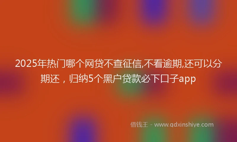 2025年热门哪个网贷不查征信,不看逾期,还可以分期还，归纳5个黑户贷款必下口子app