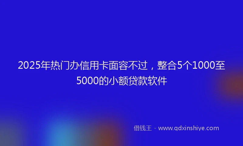 2025年热门办信用卡面容不过，整合5个1000至5000的小额贷款软件