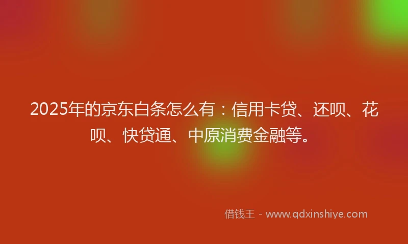 2025年的京东白条怎么有：信用卡贷、还呗、花呗、快贷通、中原消费金融等。