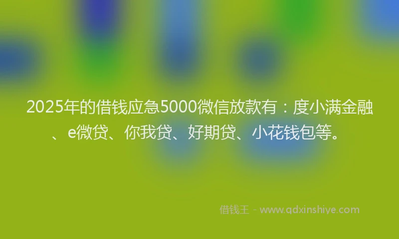 2025年的借钱应急5000微信放款有：度小满金融、e微贷、你我贷、好期贷、小花钱包等。
