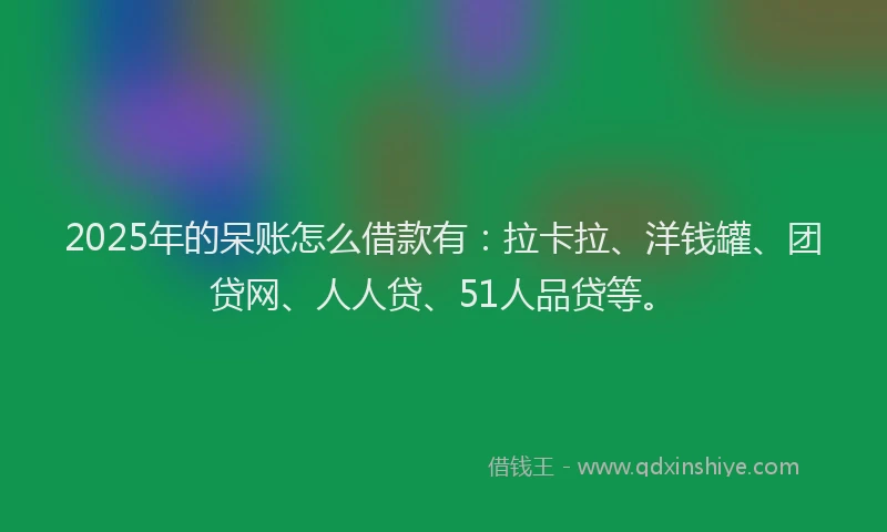 2025年的呆账怎么借款有：拉卡拉、洋钱罐、团贷网、人人贷、51人品贷等。
