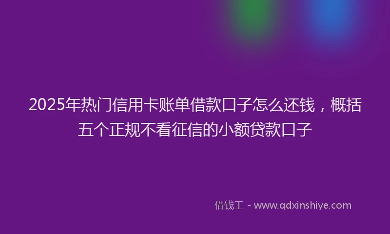 2025年热门信用卡账单借款口子怎么还钱，概括五个正规不看征信的小额贷款口子