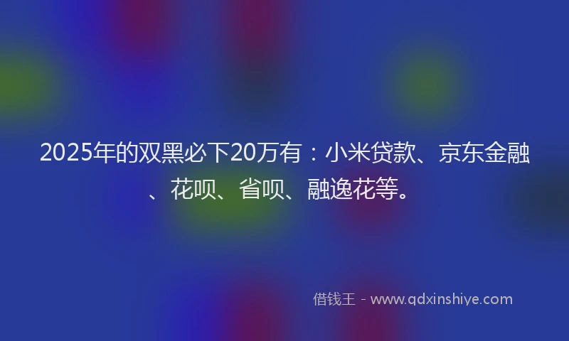 2025年的双黑必下20万有：小米贷款、京东金融、花呗、省呗、融逸花等。