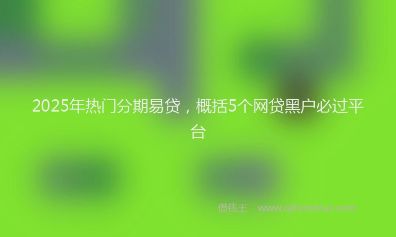 2025年热门分期易贷，概括5个网贷黑户必过平台