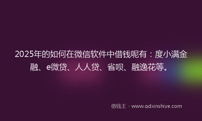 2025年的如何在微信软件中借钱呢有：度小满金融、e微贷、人人贷、省呗、融逸花等。