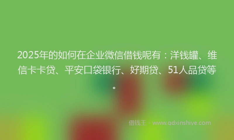 2025年的如何在企业微信借钱呢有：洋钱罐、维信卡卡贷、平安口袋银行、好期贷、51人品贷等。