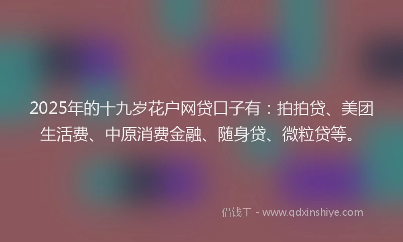 2025年的十九岁花户网贷口子有：拍拍贷、美团生活费、中原消费金融、随身贷、微粒贷等。