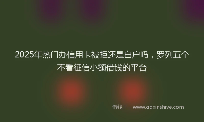 2025年热门办信用卡被拒还是白户吗，罗列五个不看征信小额借钱的平台