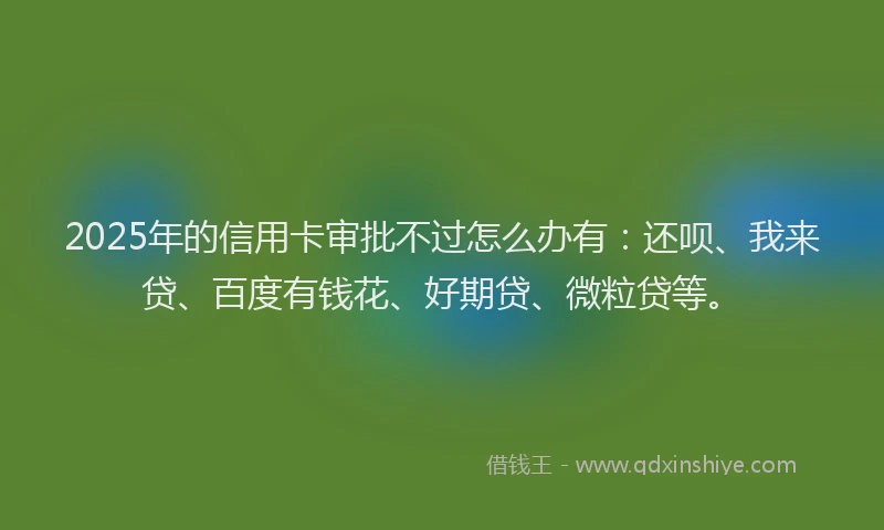 2025年的信用卡审批不过怎么办有：还呗、我来贷、百度有钱花、好期贷、微粒贷等。