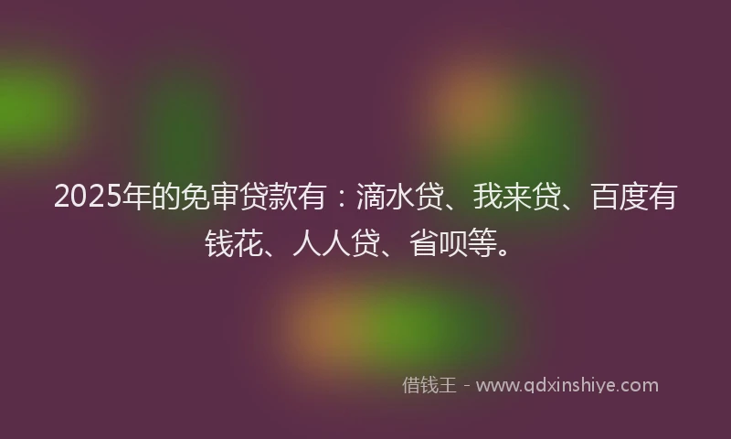 2025年的免审贷款有：滴水贷、我来贷、百度有钱花、人人贷、省呗等。
