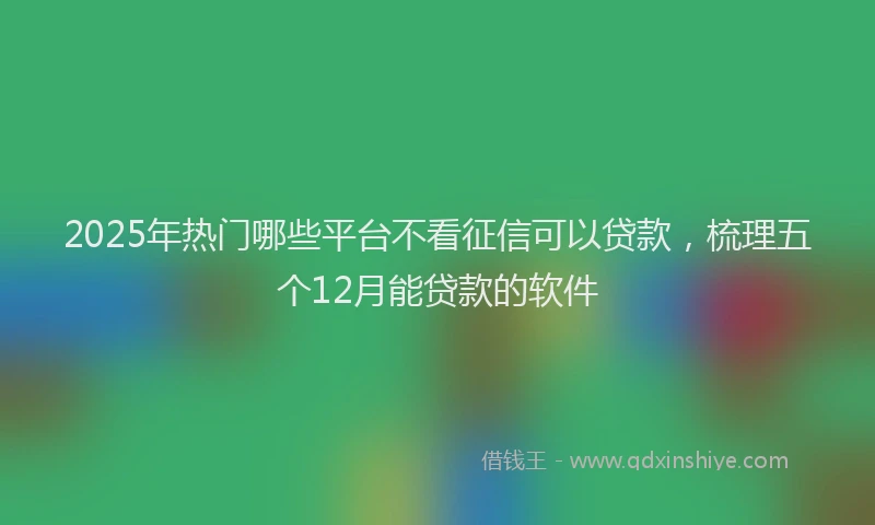 2025年热门哪些平台不看征信可以贷款，梳理五个12月能贷款的软件